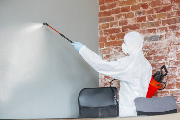 Best Asbestos and Lead Testing During Mold Inspection  in Dunn, NC