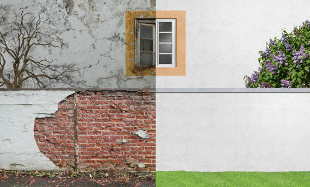 Trusted Dunn, NC Mold Removal Experts